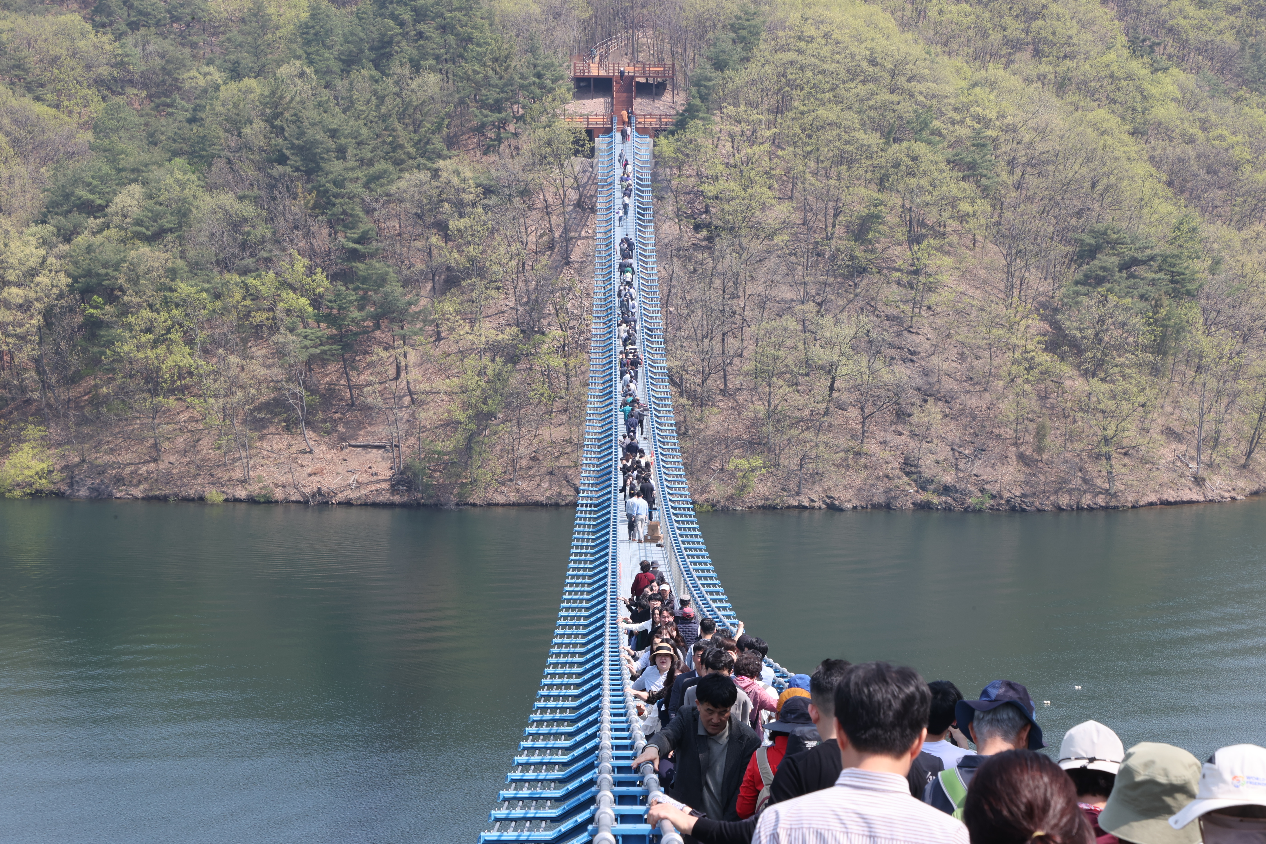 [�ֿ�]=���۱⼷ ��õ������ ���¡� ����õ ��ٸ� 183�� ���� ã�Ҵ١�����õ ��ٸ�������ȣ, , �̸�309�ⷷ�ٸ� �� ���� �뼼 ����~~!!