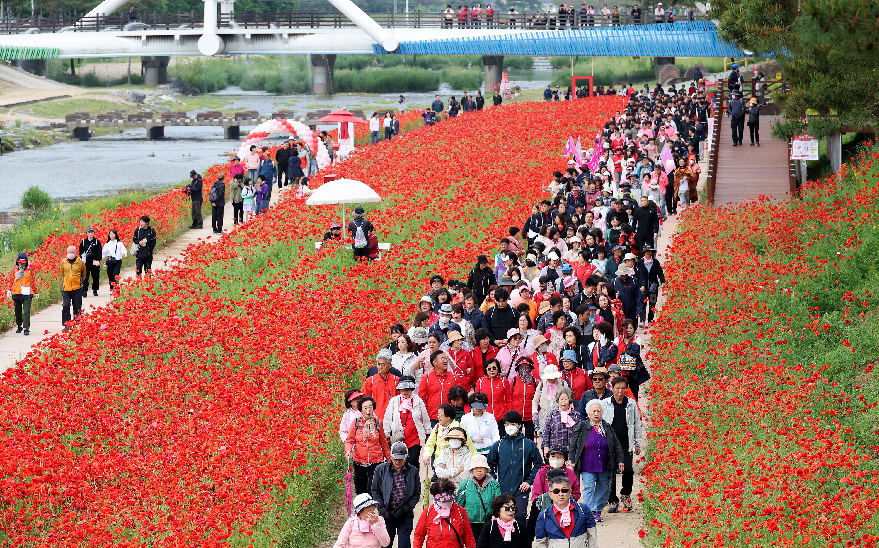 [�ֿ�=�����걺 �α� 4�� ���� ������ ���� ������ 2025�� �湮�� 1,162�� �� ���ġ�~~!!, ������ �߱� 31.4% ����, ���� �˻� 1���� ������ ~~